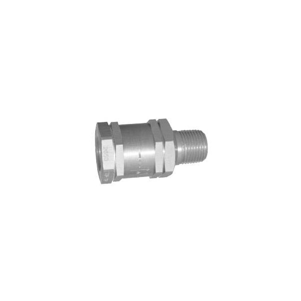 Repl Kit, Check Valve-3/8"Nptf